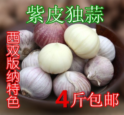 云南西双版纳特产 农家紫皮蒜　独头大蒜 大个独头蒜　蒜香浓郁 250g